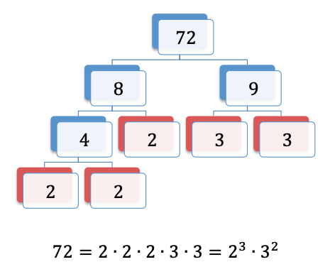 texes core subjects 4-8 factorization